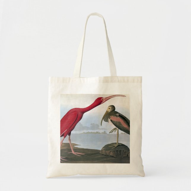 Audubon: Scarlet Ibis Tote Bag (Front)