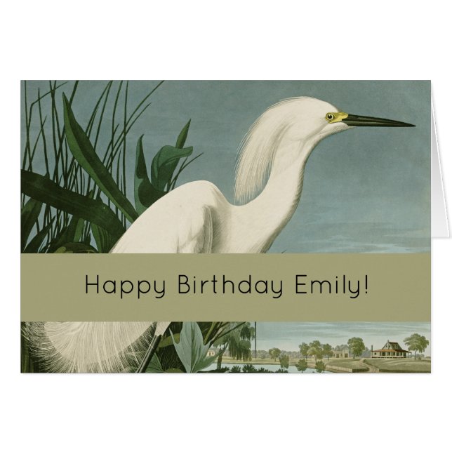 Audubon Snowy Heron White Egret Bird Birding (Front Horizontal)