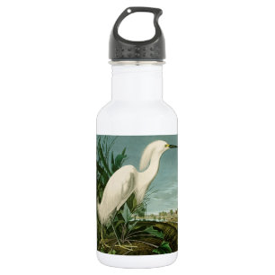 Audubon Snowy Heron White Egret Bird Birding 532 Ml Water Bottle
