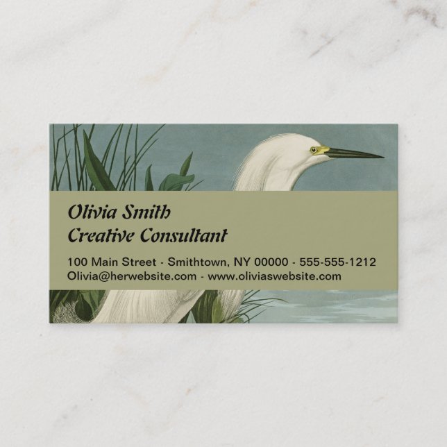 Audubon Snowy Heron White Egret Bird Birding Business Card (Front)