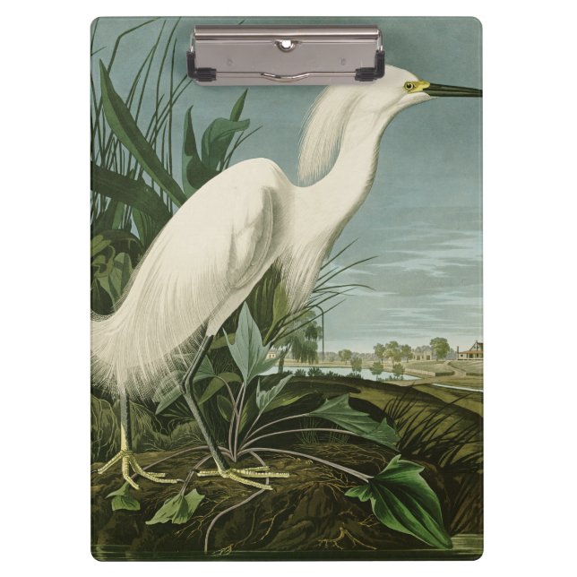Audubon Snowy Heron White Egret Bird Birding Clipboard (Front)