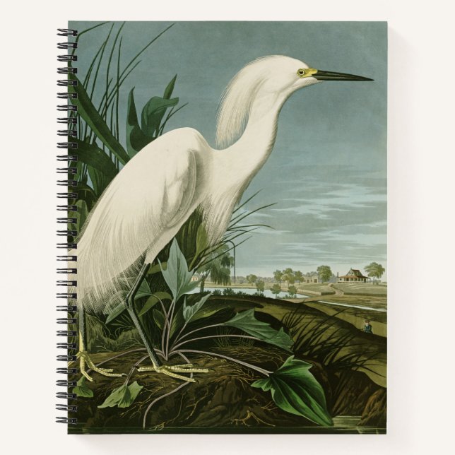 Audubon Snowy Heron White Egret Bird Birding Notebook (Front)