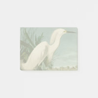 Audubon Snowy Heron White Egret Bird Birding