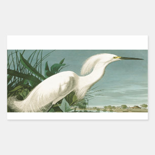 Audubon Snowy Heron White Egret Bird Birding Rectangular Sticker