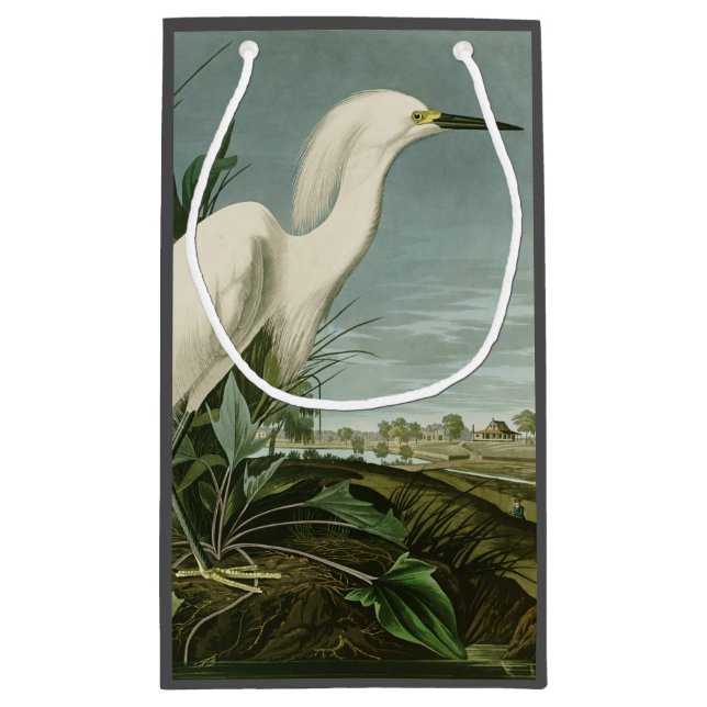 Audubon Snowy Heron White Egret Bird Birding Small Gift Bag (Back)