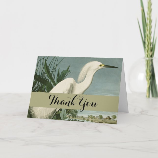 Audubon Snowy Heron White Egret Bird Birding Thank You Card (Front)