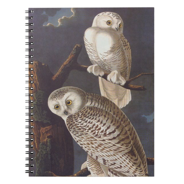 Audubon Snowy White Owls on a Dark Cloudy Night Notebook (Front)