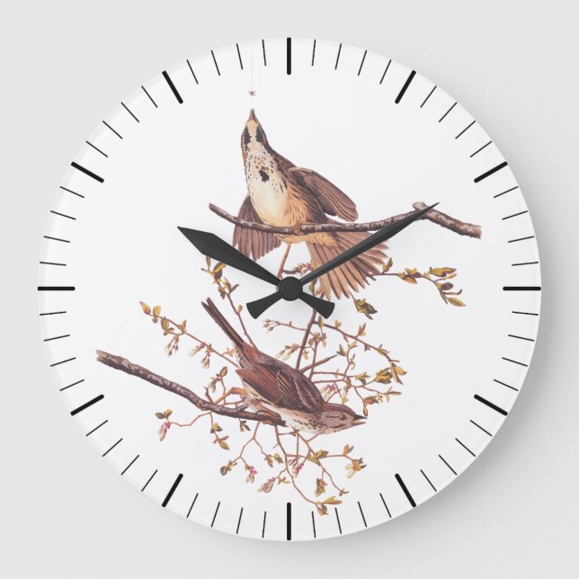Audubon Song Sparrow with Tiny Spider Large Clock (Front)