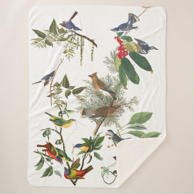 Audubon Songbirds Birds Collage Sherpa Blanket (Front)