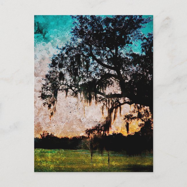 Audubon Sunset Textures Postcard (Front)