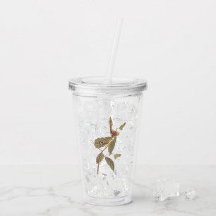 Audubon Swainson's Warbler Bird on Oak Branch Acrylic Tumbler