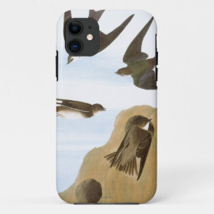 Audubon: Swallows iPhone 11 Case