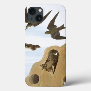 Audubon: Swallows iPhone 13 Case