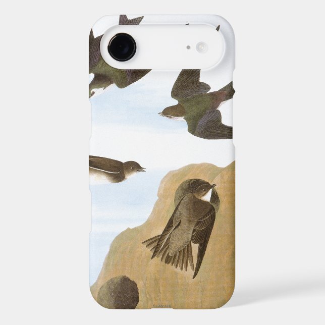 Audubon: Swallows Case-Mate Samsung Galaxy Case (Back)