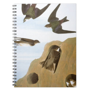 Audubon: Swallows Notebook