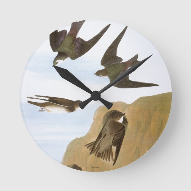 Audubon: Swallows Round Clock (Front)