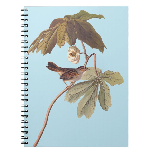 Audubon Swamp Sparrow Bird on Wild Mandrake Notebook (Front)