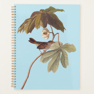 Audubon Swamp Sparrow Bird on Wild Mandrake Planner