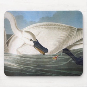 Audubon Swan Mousepad