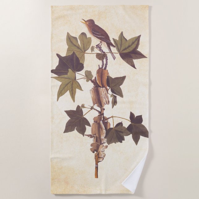 Audubon Traill's Flycatcher Songbird Beach Towel (Front)