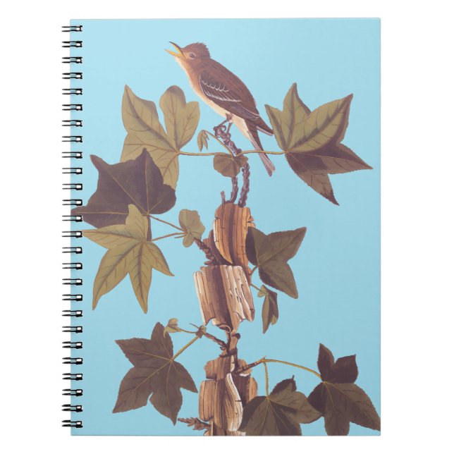 Audubon Traill's Flycatcher Songbird Notebook (Front)