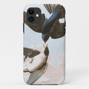 Audubon: Tree Swallow iPhone 11 Case