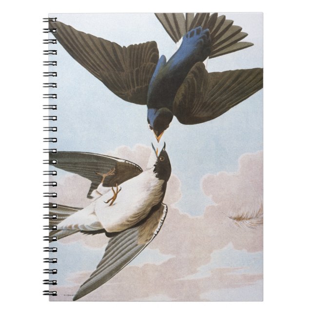 Audubon: Tree Swallow Notebook (Front)