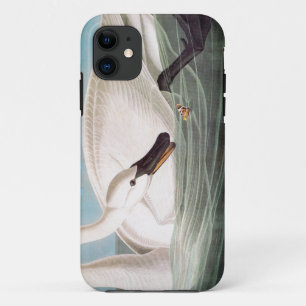 Audubon: Trumpeter Swan iPhone 11 Case
