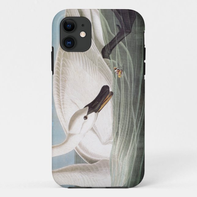 Audubon: Trumpeter Swan Case-Mate iPhone Case (Back)