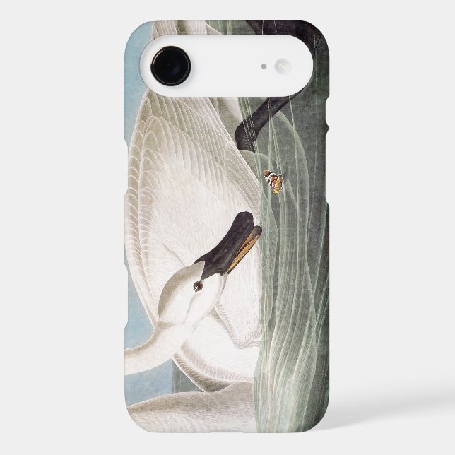 Audubon: Trumpeter Swan Case-Mate iPhone Case (Back)