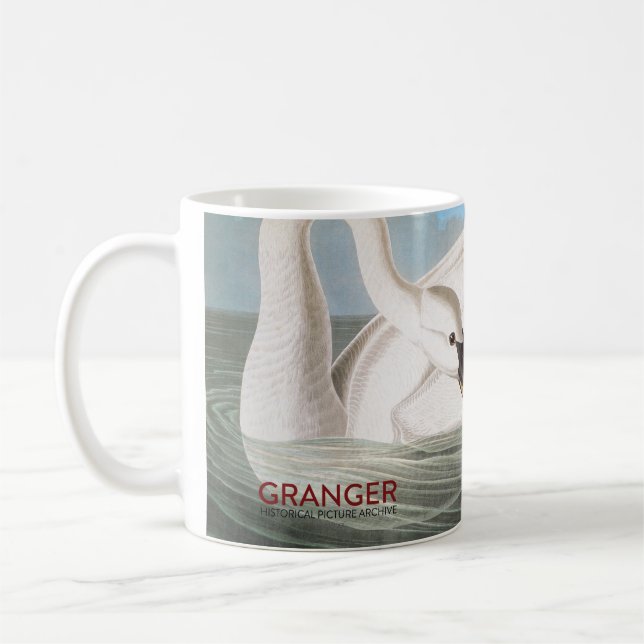 Audubon: Trumpeter Swan Coffee Mug (Left)