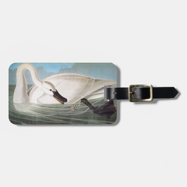 Audubon: Trumpeter Swan Luggage Tag (Front Horizontal)
