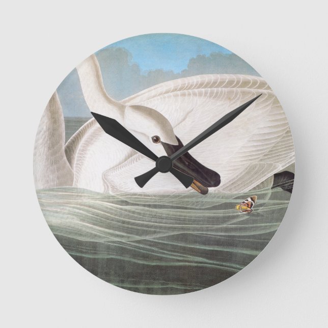 Audubon: Trumpeter Swan Round Clock (Front)