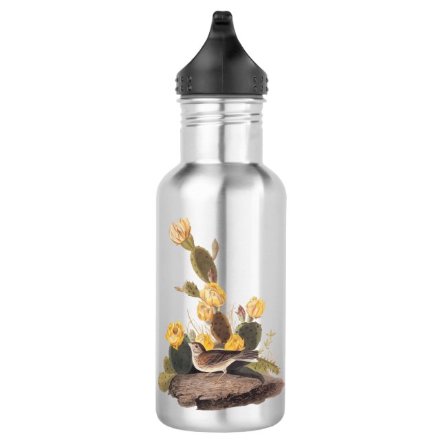 Audubon Vesper Sparrow and Prickly Pear Cactus 532 Ml Water Bottle (Right)