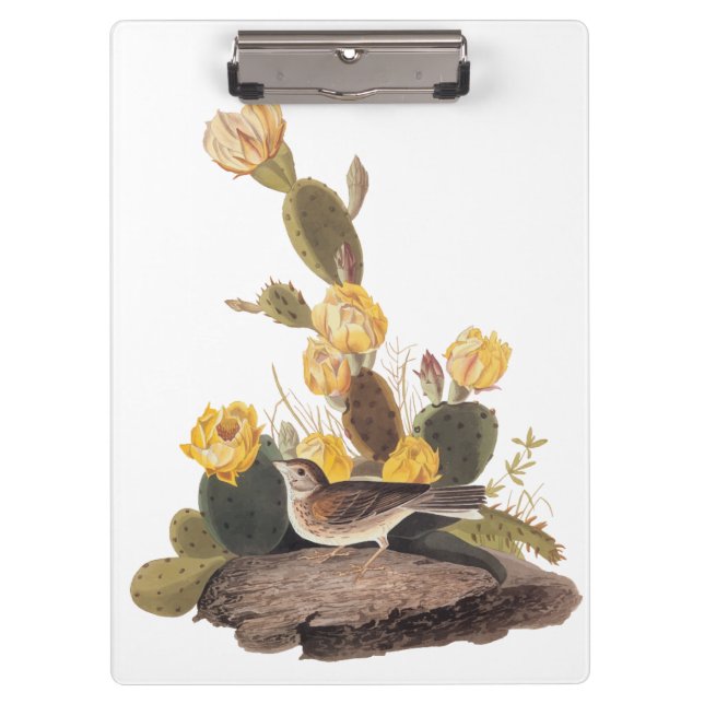 Audubon Vesper Sparrow and Prickly Pear Cactus Clipboard (Front)