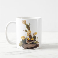 Audubon Vesper Sparrow and Prickly Pear Cactus