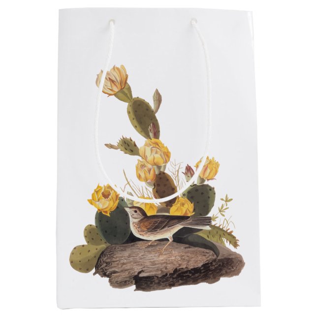 Audubon Vesper Sparrow and Prickly Pear Cactus Medium Gift Bag (Front)