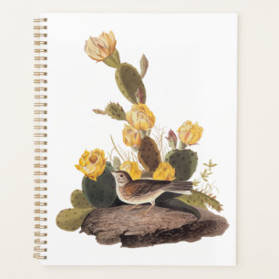 Audubon Vesper Sparrow and Prickly Pear Cactus Planner