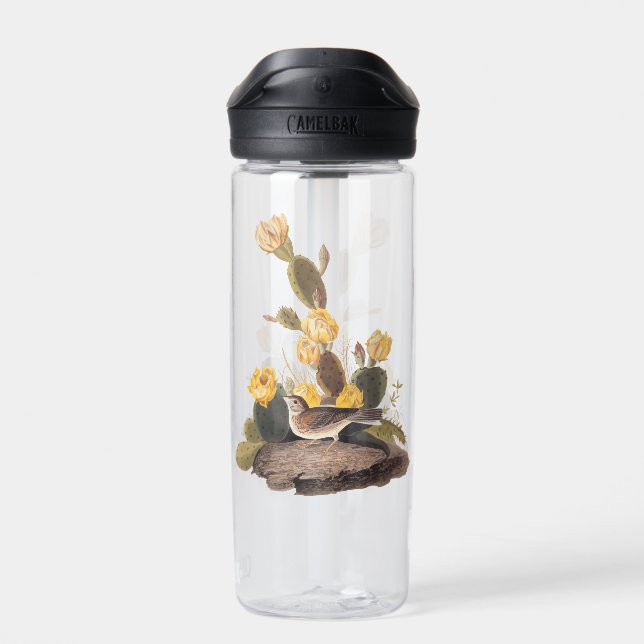 Audubon Vesper Sparrow and Prickly Pear Cactus Water Bottle (Back)