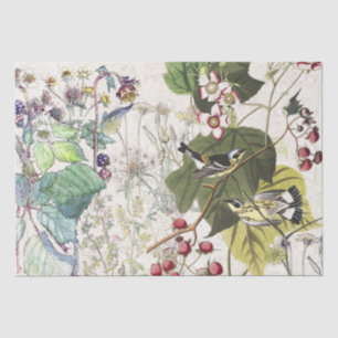 Audubon Warbler Bird Wildflowers Tissue Paper