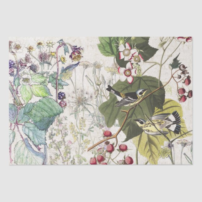 Audubon Warbler Bird Wildflowers Tissue Paper (Front)