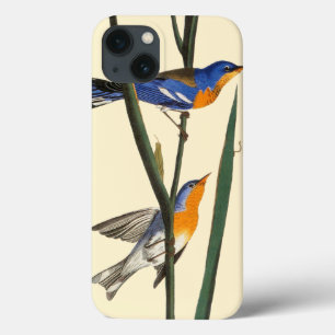 Audubon: Warbler iPhone 13 Case