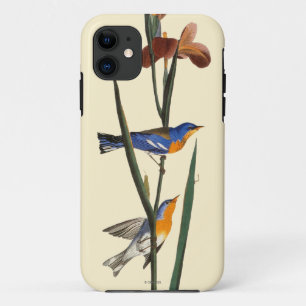 Audubon: Warbler iPhone 11 Case