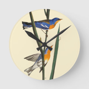 Audubon: Warbler Round Clock