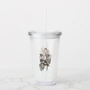 Audubon White Eyed Vireo Song Bird Acrylic Tumbler