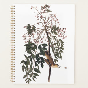 Audubon White Eyed Vireo Song Bird Art Planner