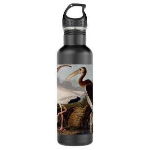 Audubon White Ibis Bird Wildlife 710 Ml Water Bottle