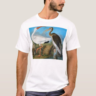 Audubon: White Ibis T-Shirt