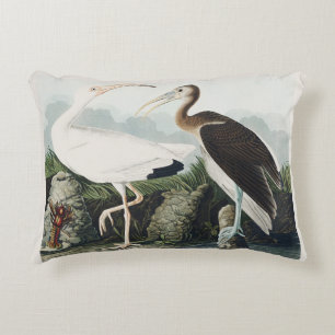 Audubon White lbis Bird Wildlife Painting Decorative Cushion