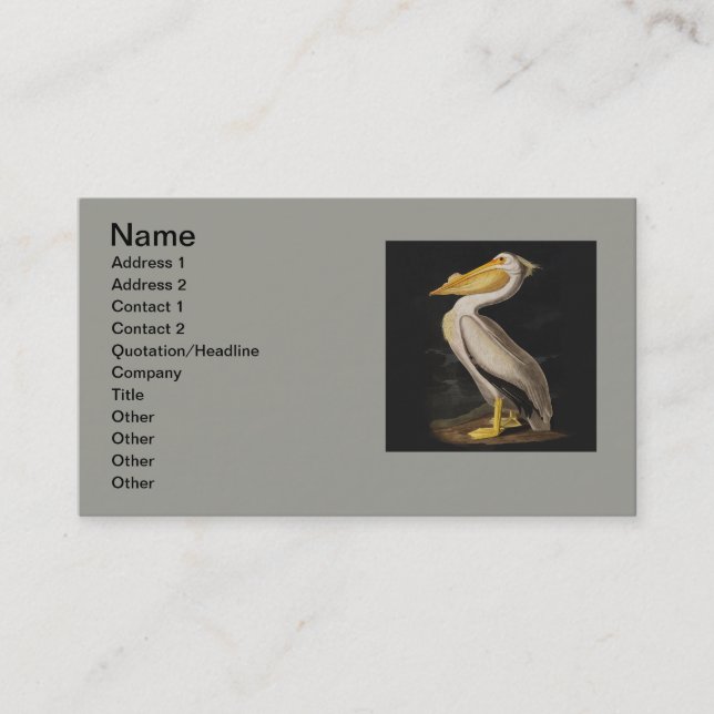 Audubon White Pelican Bird America Business Card (Front)
